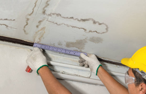 Reliable Water Damage contractor in Winslow, NE by Water Damage Irwin